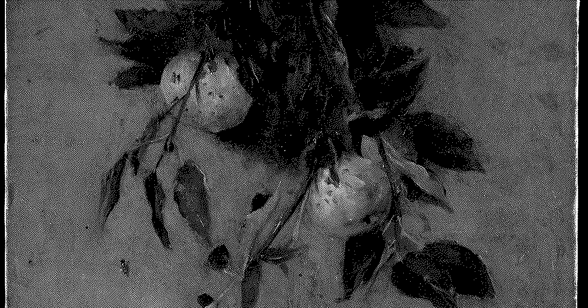 The Lemons Market for Agents