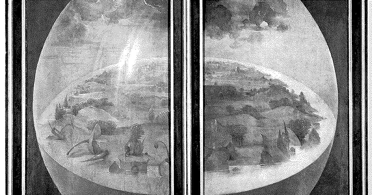 The Lemons Problem Applied to Learned Behavior